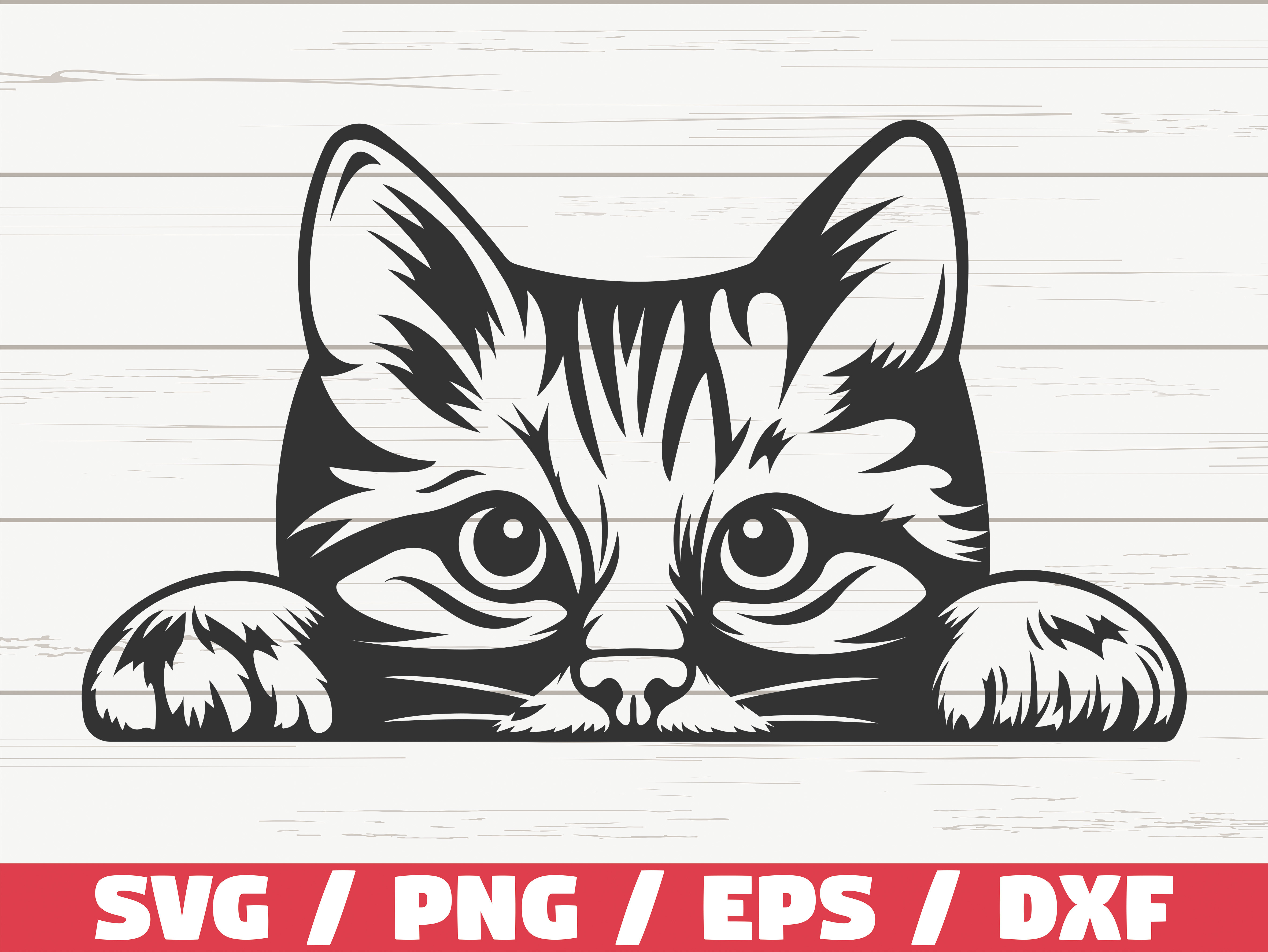 JPG img upload test